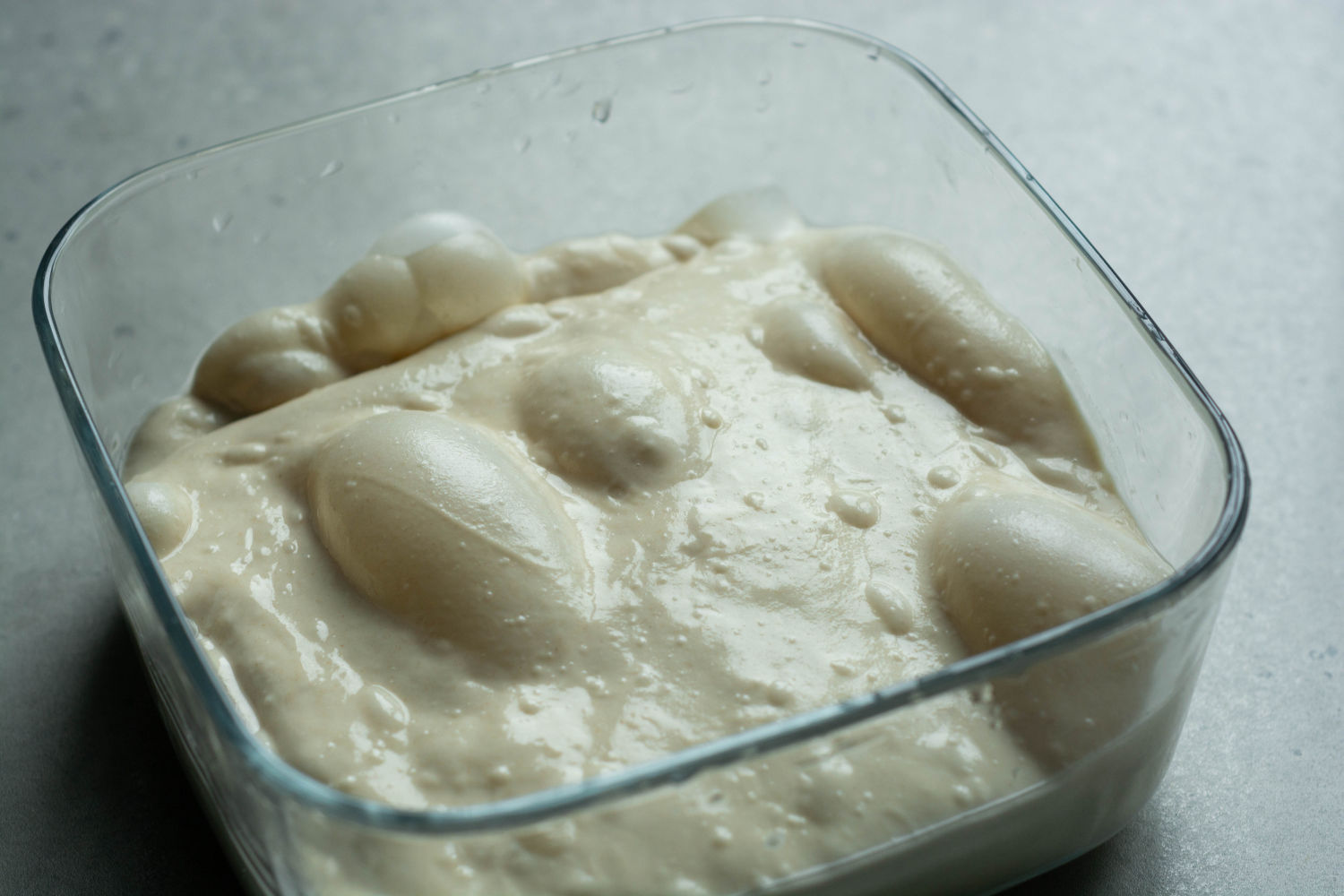 Cómo fermentar masa de pizza: la guía completa de fermentación, tiempos y solución de problemas